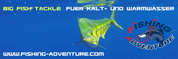 Banner-Werbung