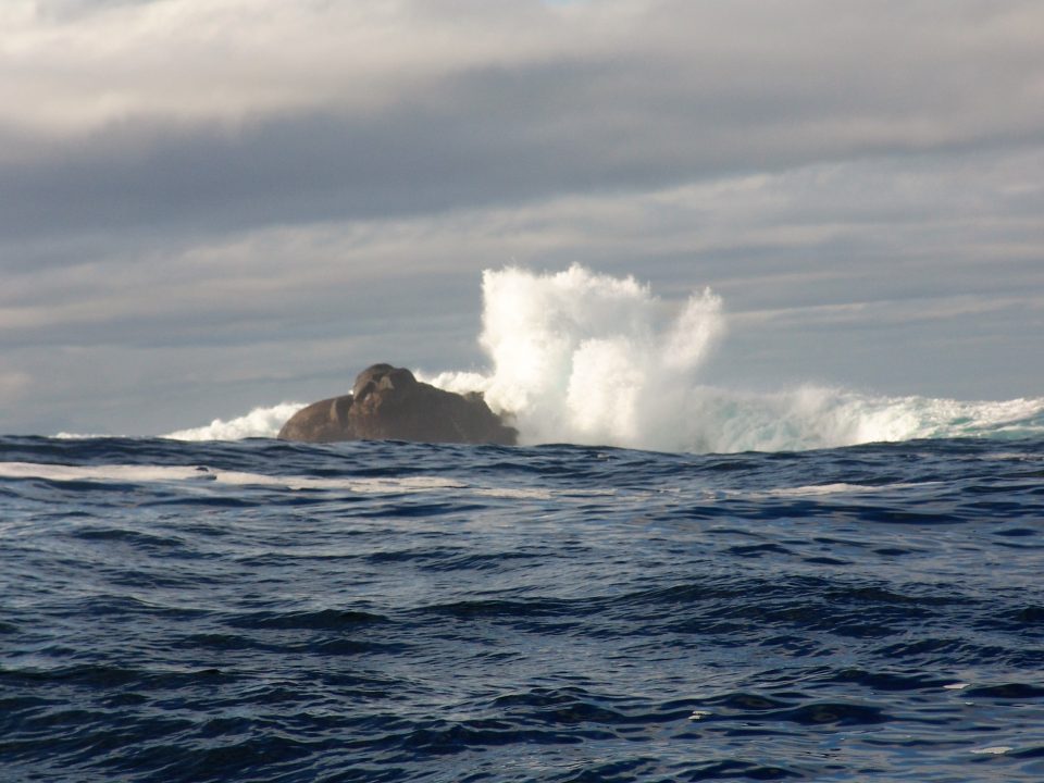 DSC02297-960x720