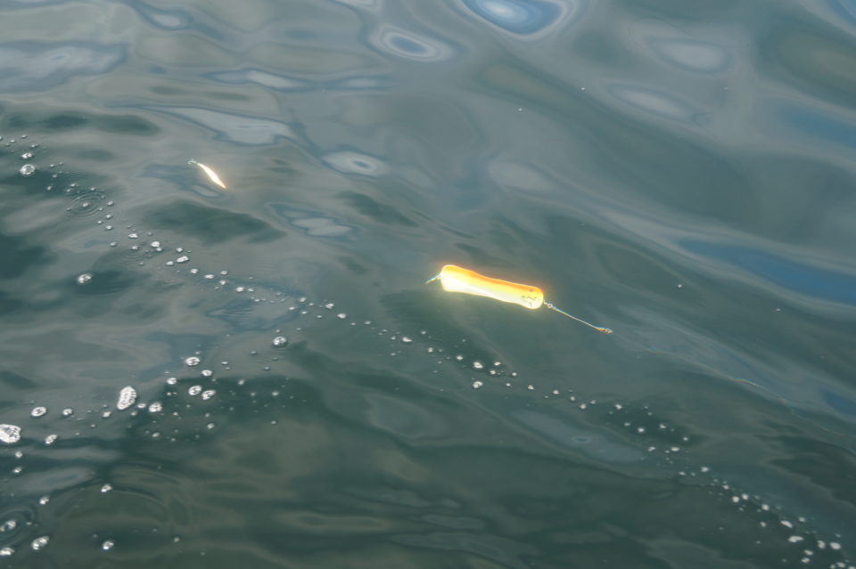 DSC04696-960x639