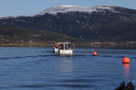 DSC_1854-452x300
