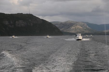 DSC_3331-452x300