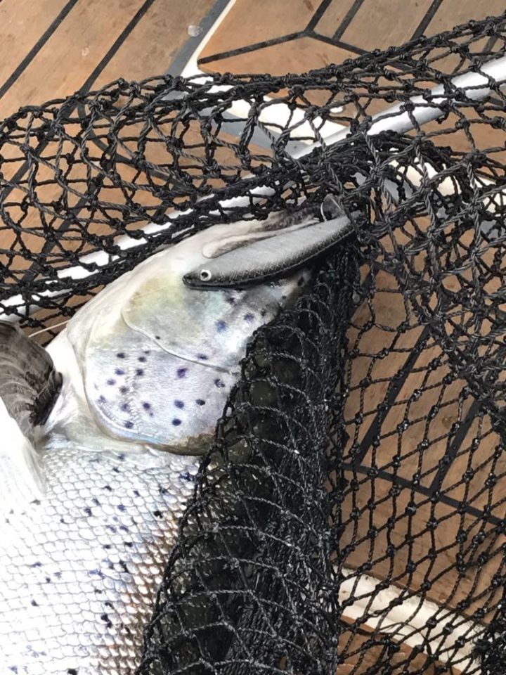 IMG-20180208-WA0063-720x960