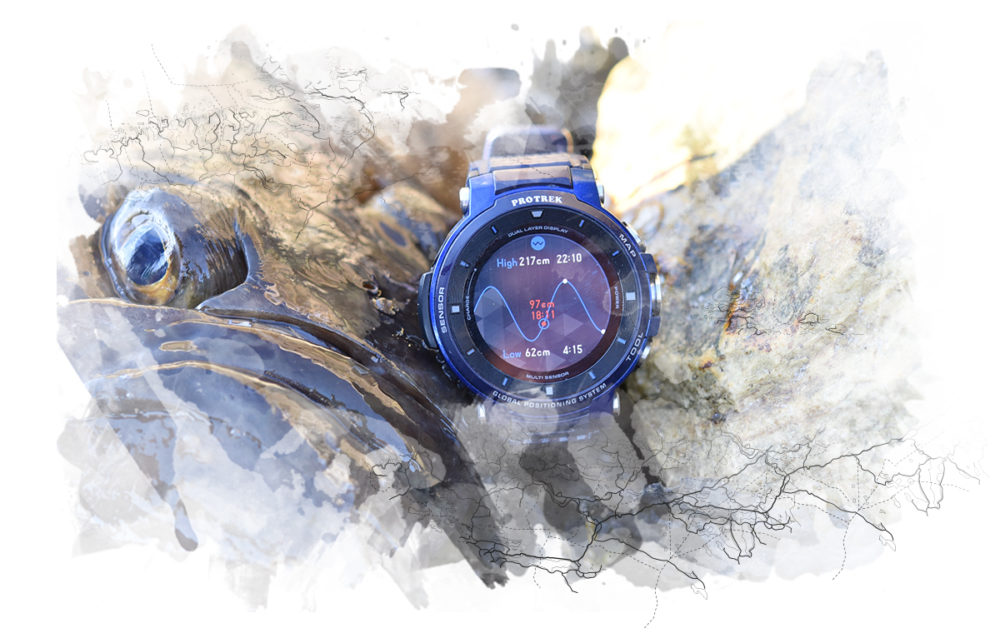 content_background_casio-protrek-2019-01